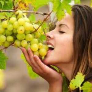 Prednosti grozdja