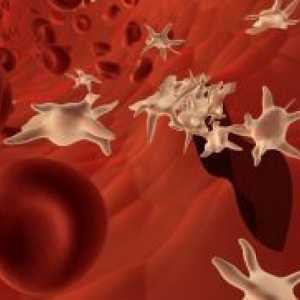 Zvišane trombocitov v krvi