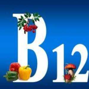 Živila, ki vsebujejo vitamin B12