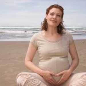 Dimenzije maternice med nosečnostjo