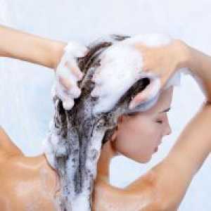 Repinca šampon