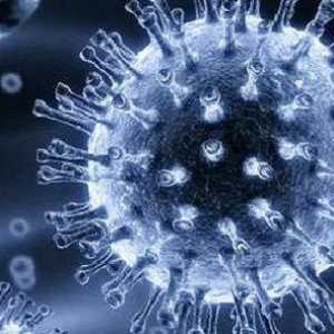 Rotavirus - inkubacijska doba