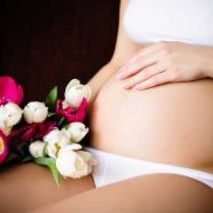 Roza izcedek v zgodnji nosečnosti