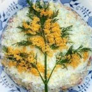 Solata "mimoza" - recept s sirom