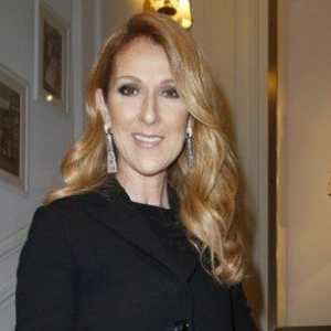 Celine Dion, Marion Cotillard in drugi na razstavi nova zbirka Christian Dior