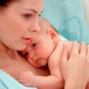 Strdki v maternici po porodu