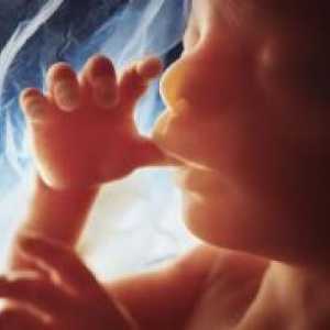 Mešanjem zarodka pred rojstvom