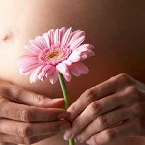 Zrasti med nosečnostjo