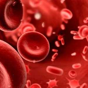 ESR v krvi otroka: norma in patologija