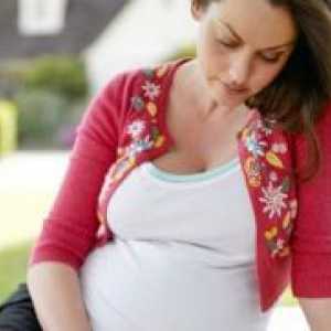 Nasveti za noseče