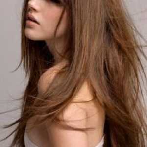 Elegantna frizura za dolge lase