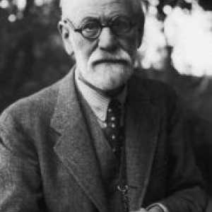 Struktura psiho po Freudu