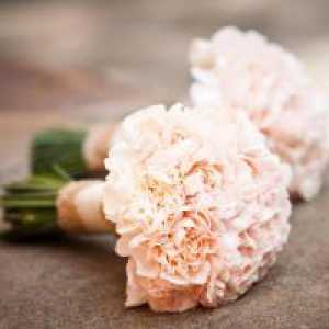Poročni šopek vrtnic