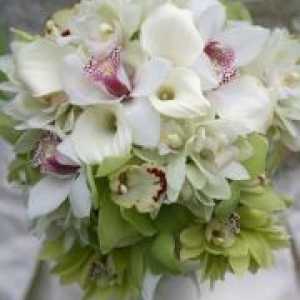 Poročni šopek orhidej