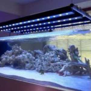 LED svetilka za akvarij