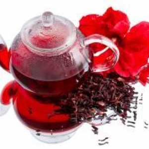 Lastnosti čaj Hibiscus