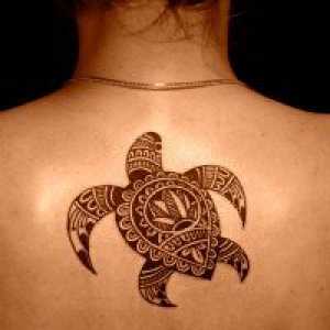 Turtle tattoo - vrednost