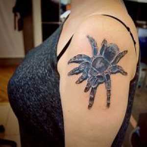 Spider tattoo - vrednost