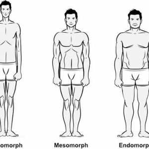 Vrste telesa za moške in ženske