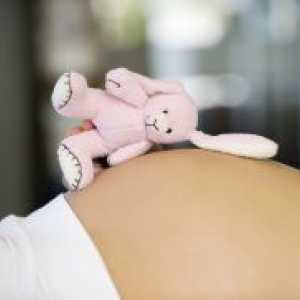 Trimesečje nosečnosti po mesecih