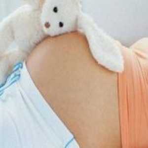 Trimesečje nosečnosti - pogoji