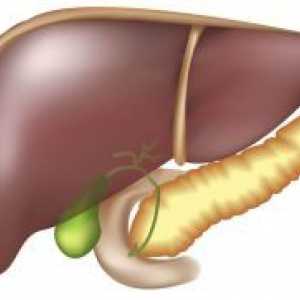 Povečana jetra - vzroki, zdravljenje in prehrana