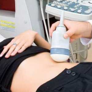 Trebuhu ultrazvok - je vključen?