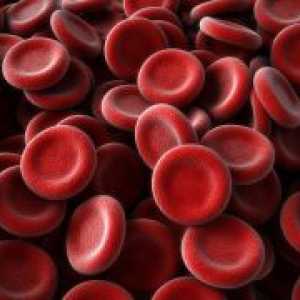 Spuščenem krvi eritrocitov