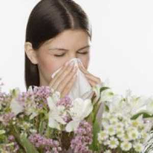 Spring alergija