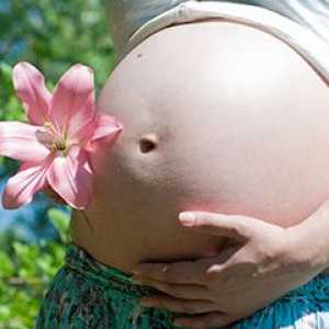 Norice v nosečnosti