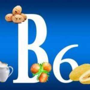 Vitamin B6 v živilih
