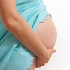 Razdelitev po 40 tednih nosečnosti