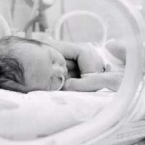 IVH pri novorojenčkih