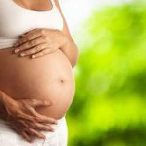 Koliko dni pred porodom pade želodec?