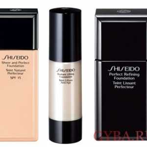 Maska vse pomanjkljivosti z kreme Shiseido
