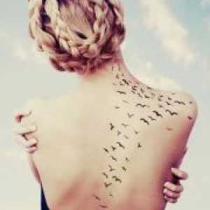 Pomen ptic tetovažo